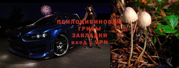 мдпв Надым