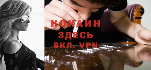 крисы Абаза