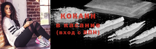 крисы Абаза