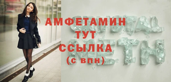 крисы Абаза