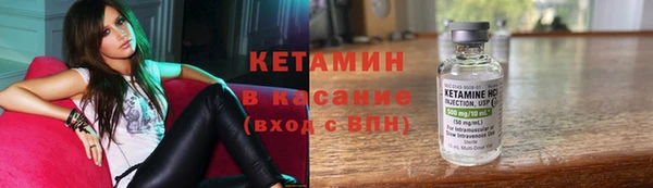 крисы Абаза