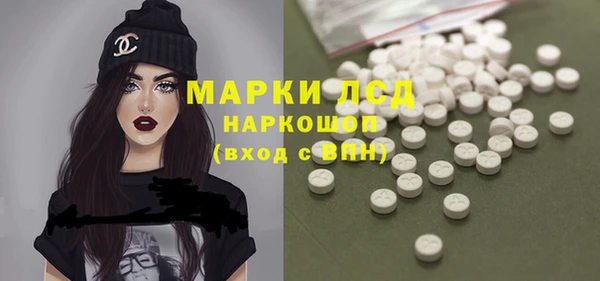крисы Абаза