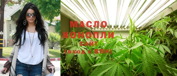 крисы Абаза