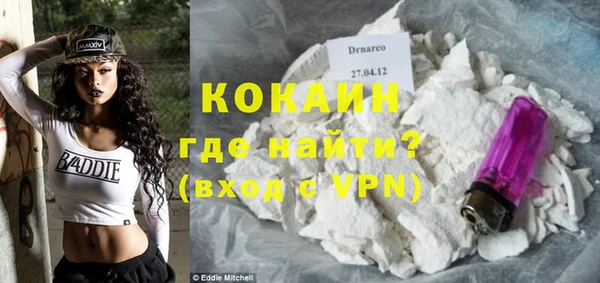 крисы Абаза